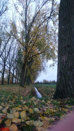[Dier en Natuur] :: Herfst Stadspolders (18)