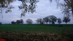 [Dier en Natuur] :: Herfst Stadspolders (6)