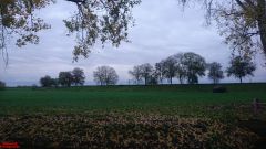 [Dier en Natuur] :: Herfst Stadspolders (7)