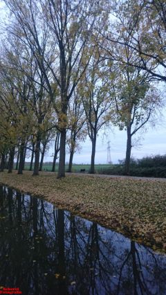 [Dier en Natuur] :: Herfst Stadspolders (8)
