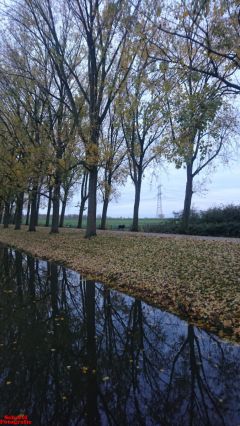 [Dier en Natuur] :: Herfst Stadspolders (9)