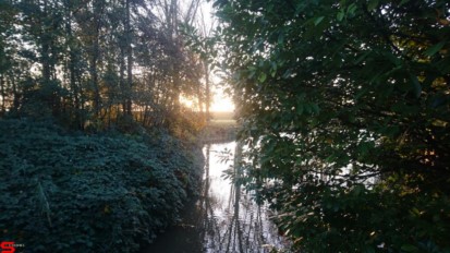 [Dier en Natuur] :: Wantijdijk 14 nov 2018 (3)