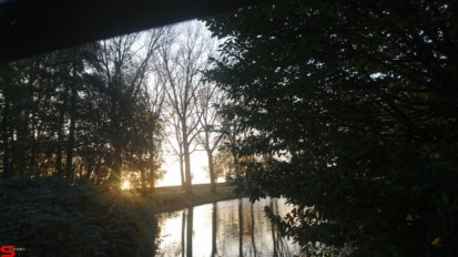[Dier en Natuur] :: Wantijdijk 14 nov 2018 (4)