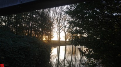 [Dier en Natuur] :: Wantijdijk 14 nov 2018 (5)