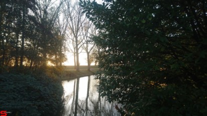 [Dier en Natuur] :: Wantijdijk 14 nov 2018 (6)