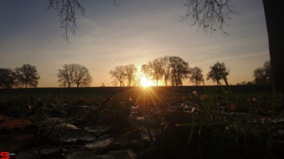 [Dier en Natuur] :: Wantijdijk 14 nov 2018 (8)