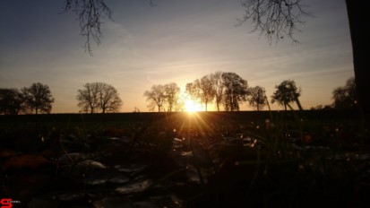 [Dier en Natuur] :: Wantijdijk 14 nov 2018 (9)