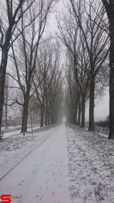 [Dier en Natuur] :: Een witte Bildersteeg (3)