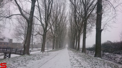 [Dier en Natuur] :: Een witte Bildersteeg (4)