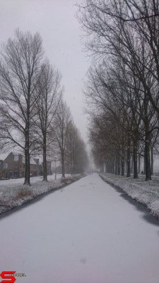 [Dier en Natuur] :: Een witte Bildersteeg (5)