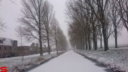 [Dier en Natuur] :: Een witte Bildersteeg (6)