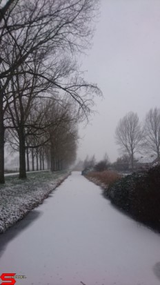 [Dier en Natuur] :: Een witte Bildersteeg (7)