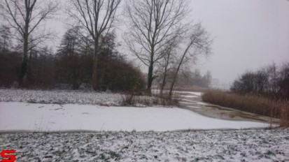 [Dier en Natuur] :: Een witte Bildersteeg (8)