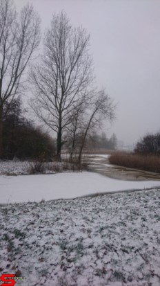 22 Januari 2019 :: Een witte Bildersteeg 22 Januari 2019 :: Een witte Bildersteeg