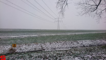 [Dier en Natuur] :: Een witte Bildersteeg (10)