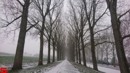 [Dier en Natuur] :: Een witte Bildersteeg (11)