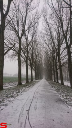 [Dier en Natuur] :: Een witte Bildersteeg (12)