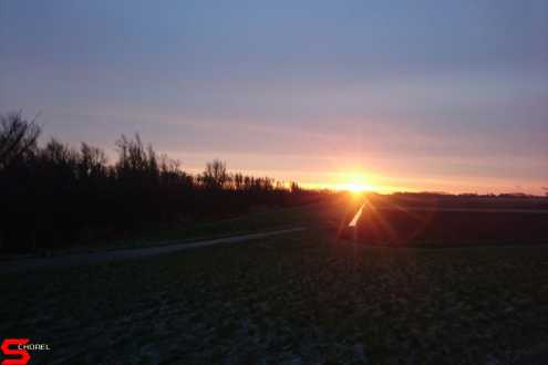 [Dier en Natuur] :: Wantijdijk 4 feb 2019 (3)