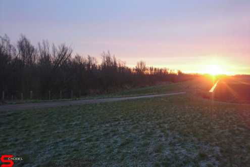 [Dier en Natuur] :: Wantijdijk 4 feb 2019 (4)