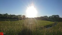 [Dier en Natuur] :: Rondje Stadspolders 24 mei 2019 (5)