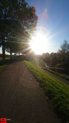 [Dier en Natuur] :: Rondje Stadspolders 24 mei 2019 (6)