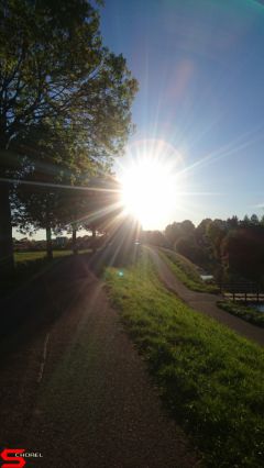 [Dier en Natuur] :: Rondje Stadspolders 24 mei 2019 (7)
