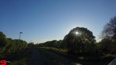 [Dier en Natuur] :: Rondje Stadspolders 24 mei 2019 (8)