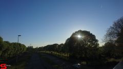 [Dier en Natuur] :: Rondje Stadspolders 24 mei 2019 (9)
