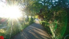 [Dier en Natuur] :: Rondje Stadspolders 24 mei 2019 (14)