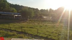 [Dier en Natuur] :: Rondje Stadspolders 24 mei 2019 (15)