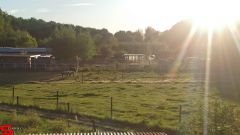 [Dier en Natuur] :: Rondje Stadspolders 24 mei 2019 (16)