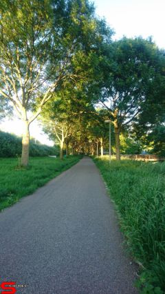 [Dier en Natuur] :: Rondje Stadspolders 24 mei 2019 (18)
