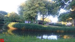[Dier en Natuur] :: Rondje Stadspolders 24 mei 2019 (7)
