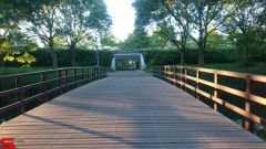 [Dier en Natuur] :: Rondje Stadspolders 24 mei 2019 (8)