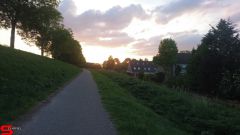 [Dier en Natuur] :: Werkendamsveer 25 mei 2019 (3)