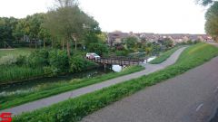 [Dier en Natuur] :: Werkendamsveer 25 mei 2019 (4)