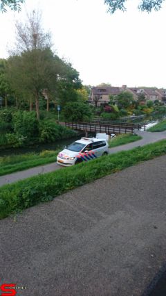 [Dier en Natuur] :: Werkendamsveer 25 mei 2019 (5)