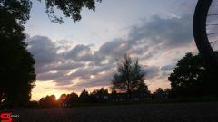 [Dier en Natuur] :: Werkendamsveer 25 mei 2019 (6)