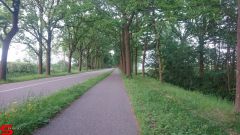 [Dier en Natuur] :: Werkendamsveer 25 mei 2019 (8)