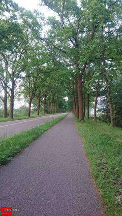 [Dier en Natuur] :: Werkendamsveer 25 mei 2019 (9)