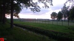 [Dier en Natuur] :: Werkendamsveer 25 mei 2019 (10)