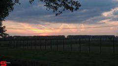 [Dier en Natuur] :: Werkendamsveer 25 mei 2019 (11)