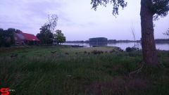 [Dier en Natuur] :: Werkendamsveer 25 mei 2019 (15)