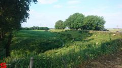 [Dier en Natuur] :: Werkendamsveer 3 juni 2019 (4)