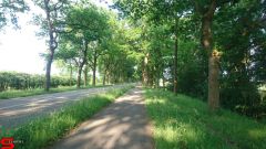 [Dier en Natuur] :: Werkendamsveer 3 juni 2019 (5)