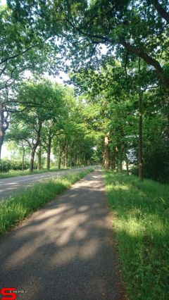 [Dier en Natuur] :: Werkendamsveer 3 juni 2019 (6)