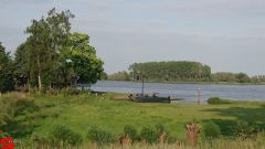 [Dier en Natuur] :: Werkendamsveer 3 juni 2019 (7)