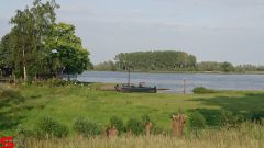 [Dier en Natuur] :: Werkendamsveer 3 juni 2019 (8)
