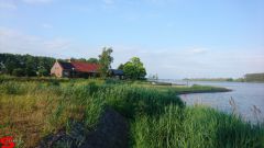 [Dier en Natuur] :: Werkendamsveer 3 juni 2019 (9)
