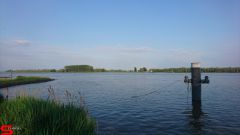 [Dier en Natuur] :: Werkendamsveer 3 juni 2019 (10)